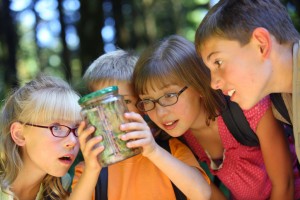 The Benefits Of Horticulture Therapy For Children With Disabilities