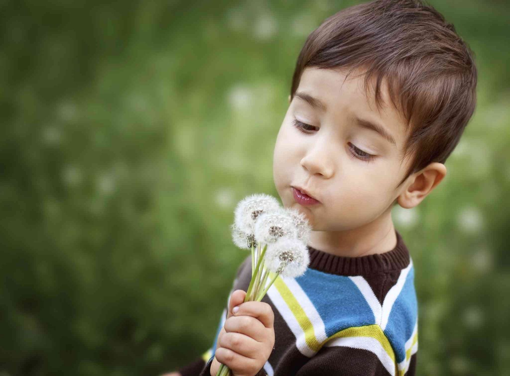 olfactory system