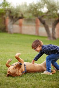 dog breeds for kids with autism