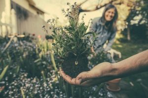 What Is Horticultural Therapy? 