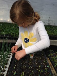 Horticultural Therapy at Home: Seed Starting with Kids